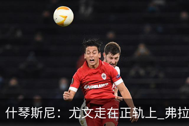 什琴斯尼：尤文走在正轨上 弗拉霍维奇非常出色