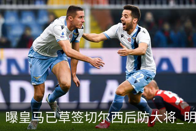 曝皇马已草签切尔西后防大将 明年夏天完成转会